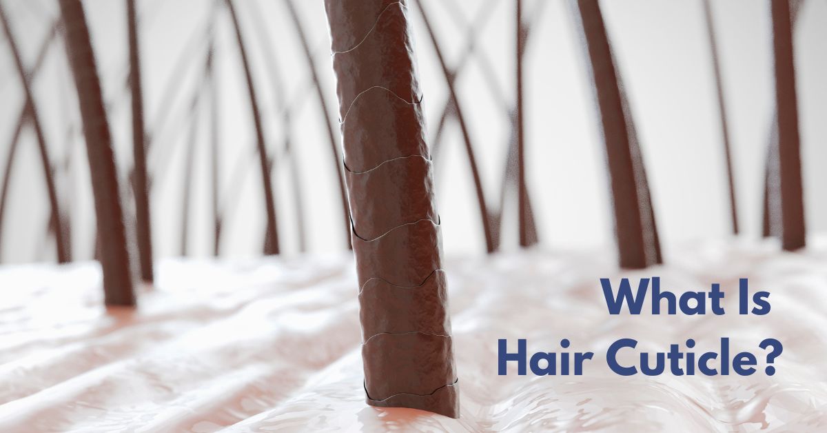 What Is a Hair Cuticle? Structure, Function & Care Guide - Singapore