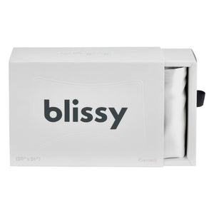 Crescent Pillowcase - Silver - King