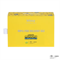 Pillowcase - Minions & Monsters - Seeing Stars - Toddler