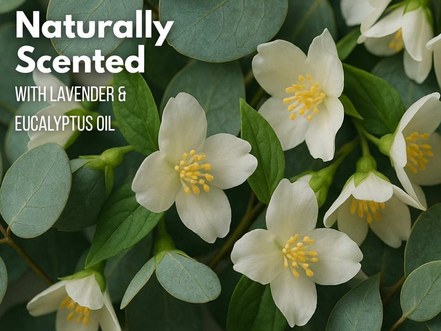 Naturally scented candle: Jasmine & Eucalyptus
